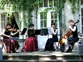 ?piew ptaków i koncert skrzypcowy ?piew ptaków i koncert skrzypcowy
