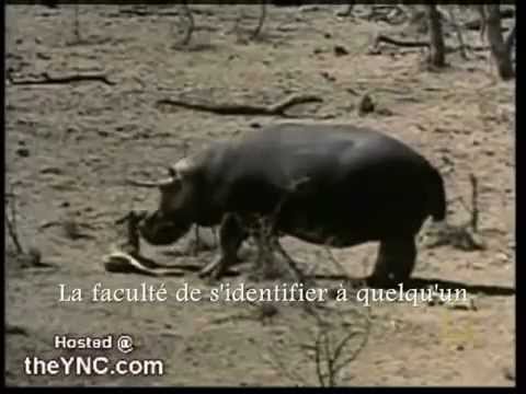 how to define empathy