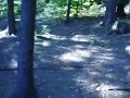 bike meclov 13
