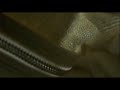 The NIke Loopwheeler