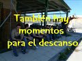 Manejo de Desbrozadoras y P�rtigas para poda de �rboles