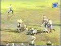 Exclusive Reggie Bush High School Highlights