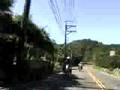 0513汐萬路往五指山..散步..