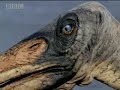 Dinosaurs - reptiles of the skies - BBC