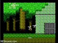 captured from an actual nes console and cartridge. for more information on this title: www.nesguide.com