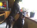 how all pits should be