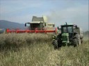 moisson colza 2008 moisson colza 2008