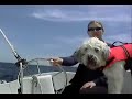 Sailboat Video