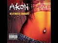 Akon – BELLY DANCER (Dirty Valente & Kevin D 2012 remix)