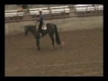 Irristably Good 1999 Bay Gelding by A Good Machine. Open  Amateur Superior Western Pleasure, 6th at Select World in Western Pleasure. Over 150 AQHA Western Pleasure points. $16796.22 in NSBA earnings. Great gelding for a Novice or Select Amateur. Currently being shown and in training with Dana Hokana Quarter Horses. Contact: DANA HOKANA · 951-775-2534 Email danahokana@aol.com · Located in CA ... aqha for sale western pleasure riding bay gelding nsba quarter horse auperior amateur select ...