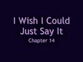 I Wish I Could Just Say It- Chapter 14
