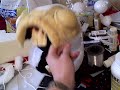 Jabberwock - In Progress