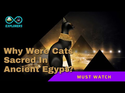 Why Were Cats Considered Sacred In Ancient Egypt? | Importance Of Cats In Egyptian Culture