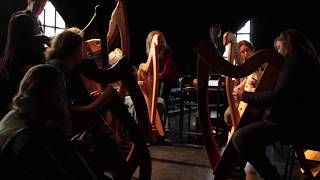 European Early Music Day - Early Irish Harp Discovery Day