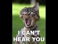 The Pirate Bay replies to Sims2 - FUNNY