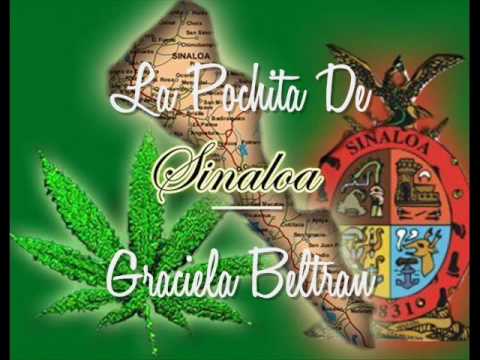 Pochita - La Pochita de Sinaloa (Graciela Beltran) 100% Sinaloense Raza! Aki siempre al Millon y ke siga Rugiendo SINALOA!!!!