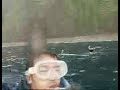 DolphinSwimTour-2