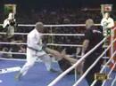 Yoshihiro Akiyama vs. Francois Botha