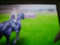 Horse Life DS Novice Eventing