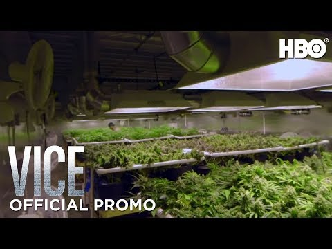 VICE Season 2: Episode #6 Preview (HBO)