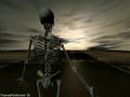 Skeletal animation