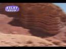 Eilat show