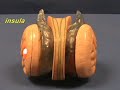 Brain Stem Model - Insula & Corpus Callosum