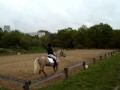 Dressage la salantine