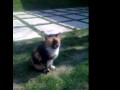 jalid quant'è pazza!.mov