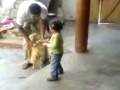 videos de amrit with stafi