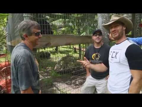 YouTube reptile video