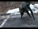 big dog