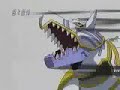 Digimon Frontier Team Beast Spirit Evolution