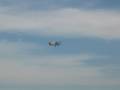 videos de Antonov AN-2 im Vorbeiflug