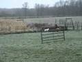 videos de Wynnter JHD 1