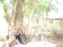 casa de campo 11