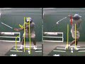 Rocky's First Golf Lesson