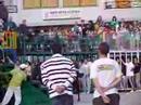 Javea Bull Running 1