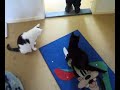 Video from My Phone (20082008016.mp4)