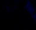himno nottingham miedo