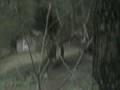 Bubba CROMER BIGFOOT MOVIE BIGFOOTVISION