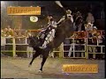 Jaripeo