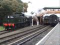 Day at Bewdley 2-11-08