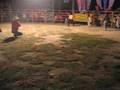 videos de JARIPEO EN LACHILOO, OAXACA MEXICO