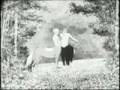 Epitaph for the Centaurs