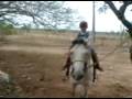 silas no cavalo