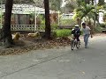 bike lessons bike lessons