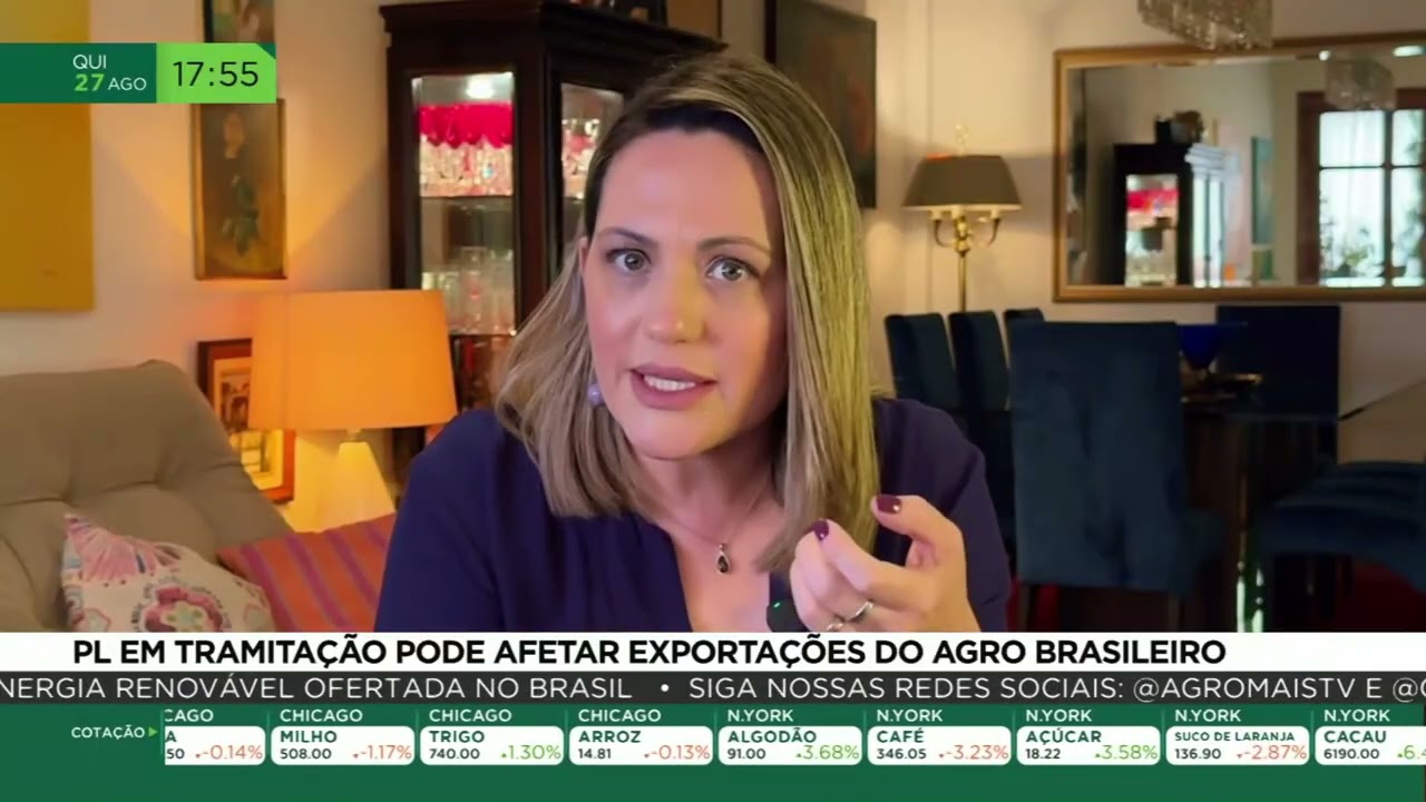 PL em tramitação pode afetar exportações do agro brasileiro