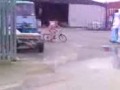 SOFTHEAD OLYMPICS RUGBY NAKED BIKE RIDE