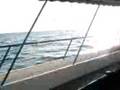 videos de zoka ceca.3GP
